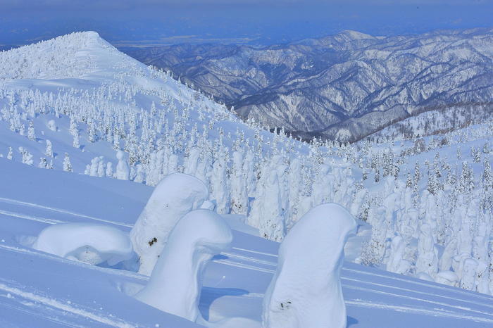 【秋田】日本三大樹氷「森吉山」で見上げる雪の造形美