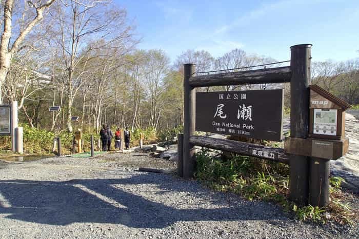 いざ水芭蕉の楽園へ！初心者でも日帰りできる尾瀬ヶ原ハイキングコース