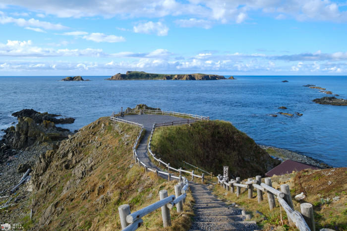 【北海道】日本最北の離島！礼文島に行ってきました！おすすめスポットをご紹介！