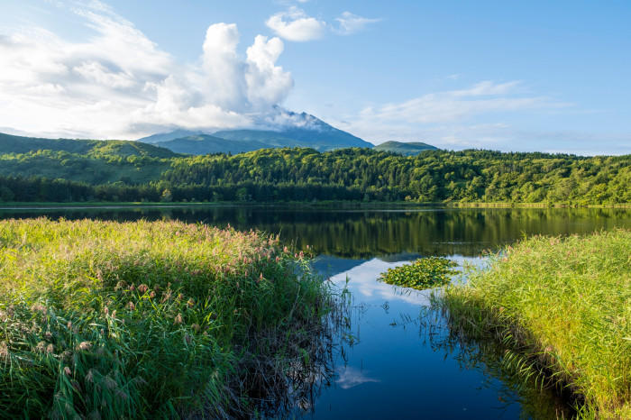 【北海道】果ての島・利尻島って何があるの？おすすめスポットをご紹介！