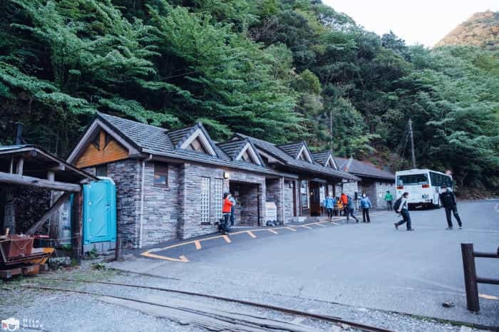 【鹿児島屋久島】樹齢数千年の古代樹！？縄文杉トレッキングへ行ってきました！