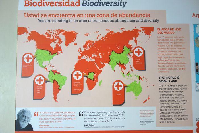 【ペルー】登録済みの動植物は1500種以上!パラカス国立自然保護区 ビジターセンター編