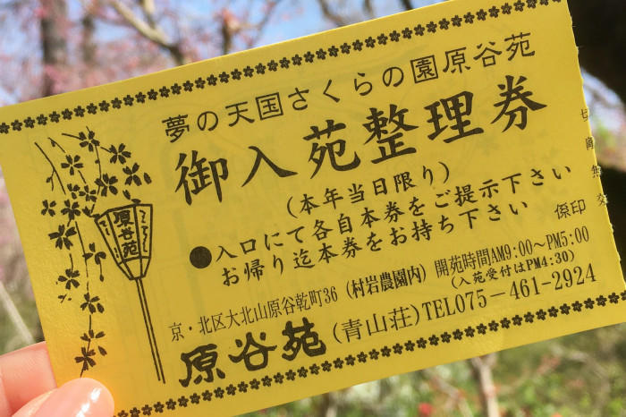 まるで桃源郷！京都の知る人ぞ知る桜の名所「原谷苑」