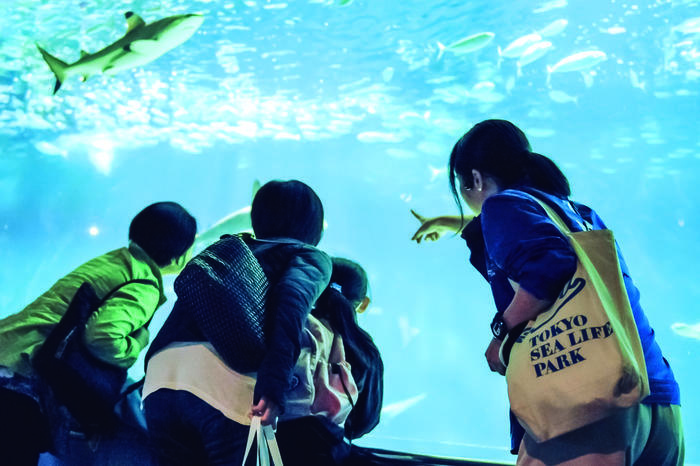 葛西臨海水族園の見どころを徹底レポート！観覧車など周辺情報も！