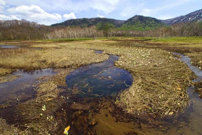 いざ水芭蕉の楽園へ！初心者でも日帰りできる尾瀬ヶ原ハイキングコース