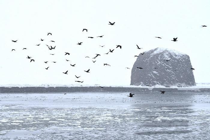 寒さの中に感動がある！網走流氷砕氷船「おーろら」で氷の海を突き進む