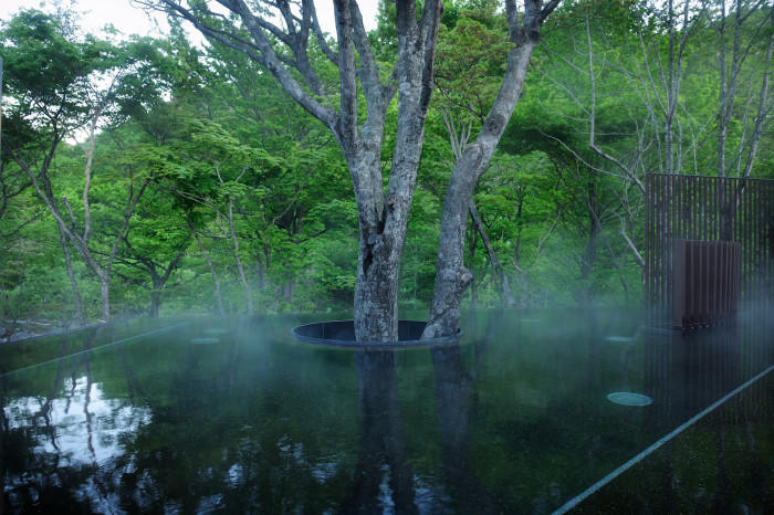 【四季と宿をめぐる旅】青森県〜星野リゾート　奥入瀬渓流ホテルと生命力溢れる渓流〜