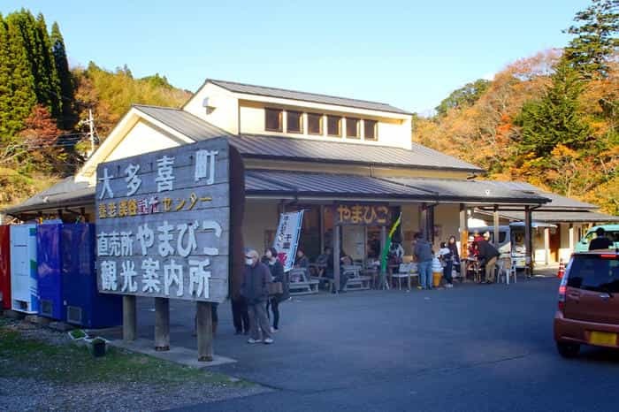 千葉房総の奥座敷！養老渓谷で渓谷ハイキング＆温泉グルメ三昧