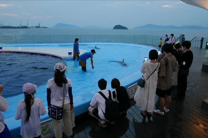 【香川】金魚が空を泳ぐ！水族館に龍宮城！？映えまくりな四国・丸亀の旅