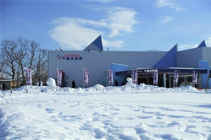 日本でココだけ！川の中まで水族館「サケのふるさと 千歳水族館」