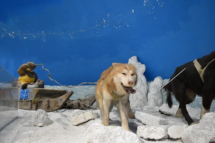 ワンコインでおつりがくるコスパ最高の動物園　「おびひろ動物園」