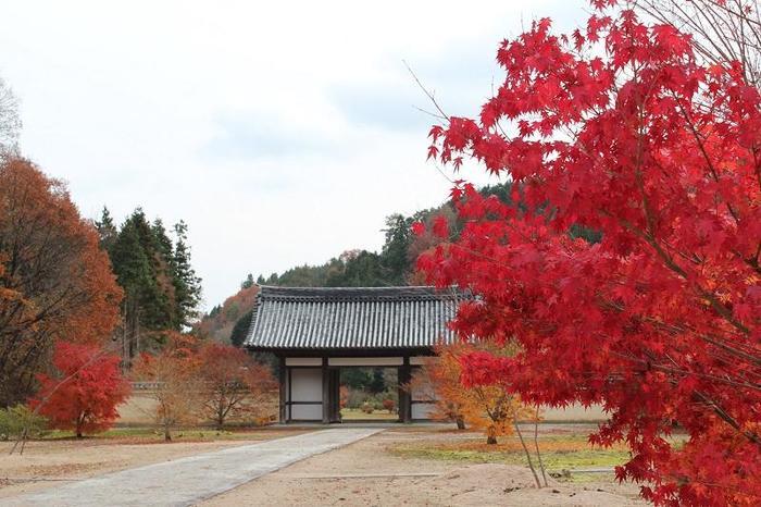 【広島県】思わず深呼吸したくなる町！神石高原町は たくさんの”おいしい●●”がある町だった。