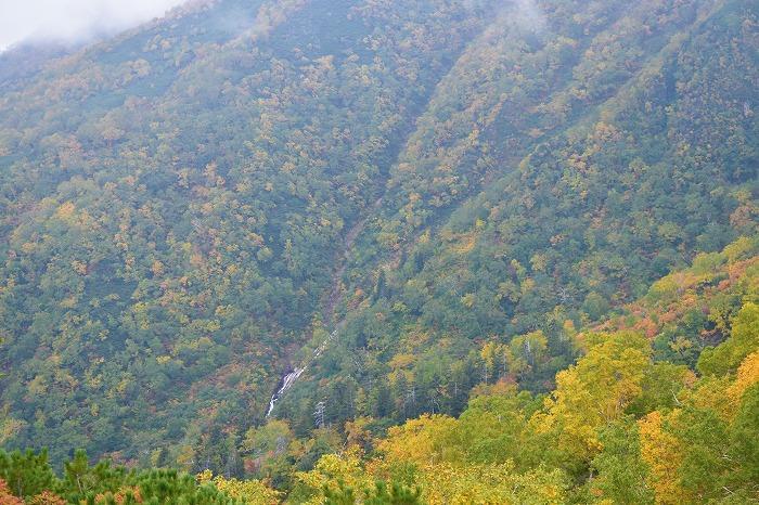 【北海道】「カムイミンタラ（神々の遊ぶ庭）」と呼ばれる大雪山系・黒岳で紅葉をめでる