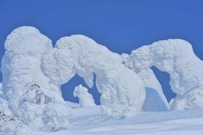 【秋田】日本三大樹氷「森吉山」で見上げる雪の造形美