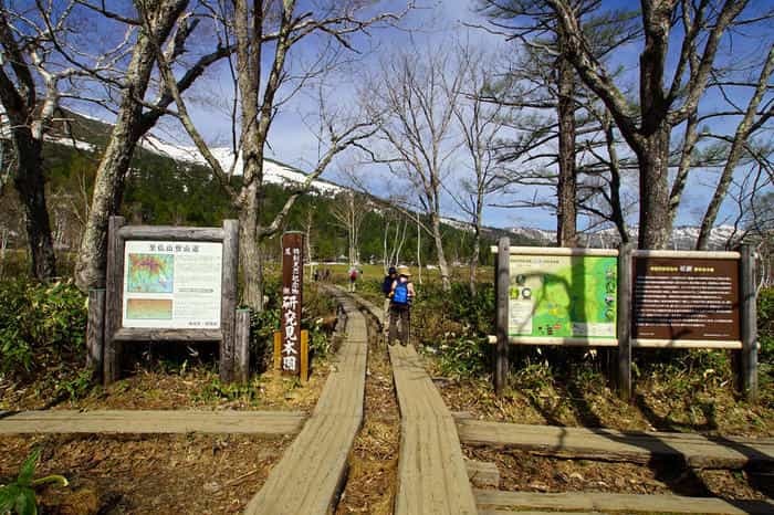 いざ水芭蕉の楽園へ！初心者でも日帰りできる尾瀬ヶ原ハイキングコース