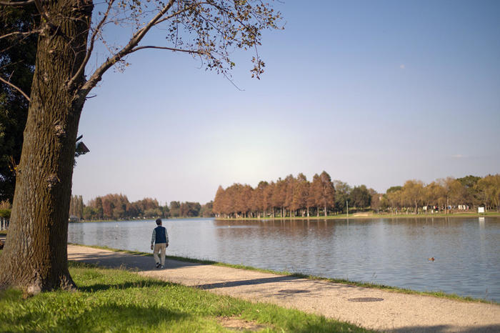 劇的な紅色に染まる葉と花、空。 晩秋・初冬は葛飾区水元公園に行こう！