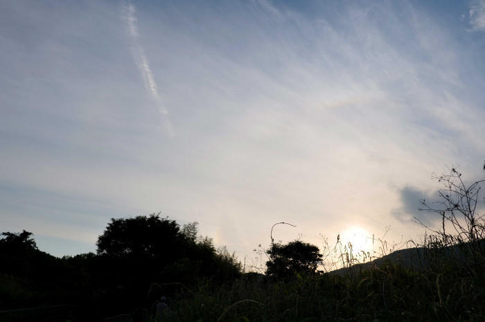 奈良県南生駒、西畑の棚田へお出かけしよう！