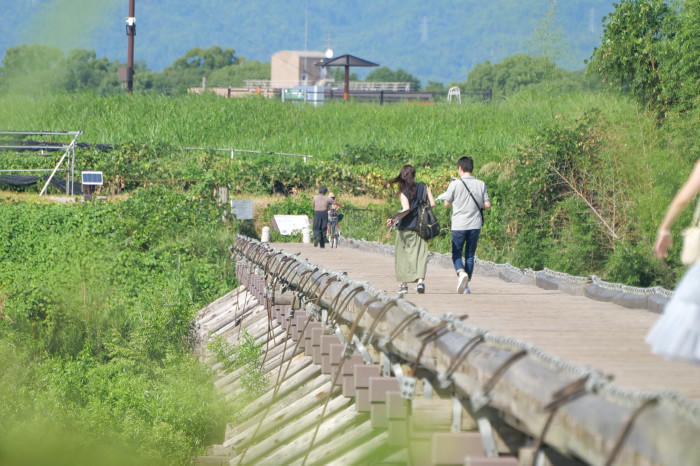 Hv_koud気分は時代劇！京都八幡の上津屋橋こと流れ橋で夕暮れを撮るu11-thumb-700x466-232183.jpg