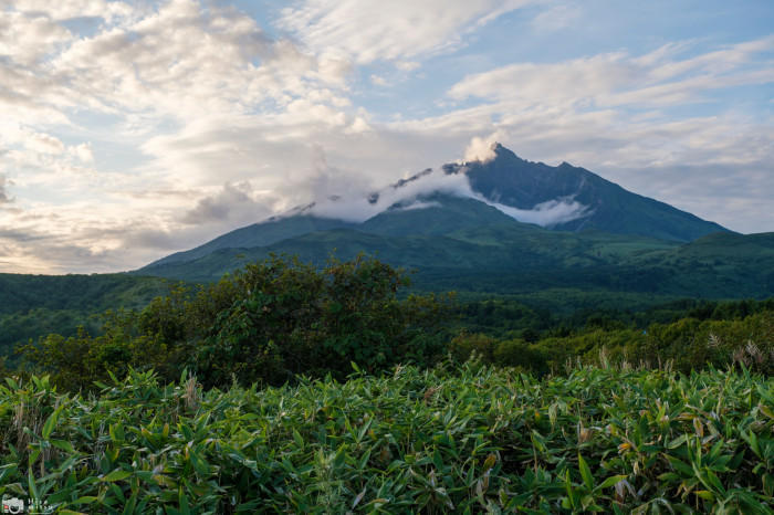 【北海道】果ての島・利尻島って何があるの？おすすめスポットをご紹介！