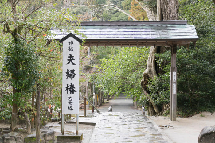 恋の行方が明らかに？縁結びの聖地、島根県 八重垣神社を訪れてみた