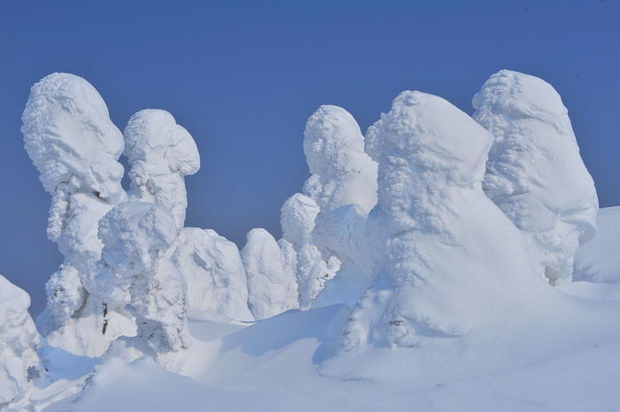 【秋田】日本三大樹氷「森吉山」で見上げる雪の造形美