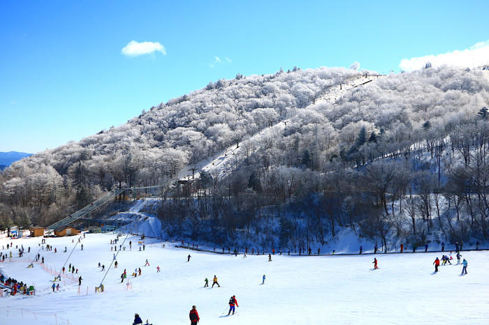 私のマイクロツーリズム宿泊編〜茶臼山高原「御宿 清水館」ジンギスカンとおもてなしに心癒される旅〜