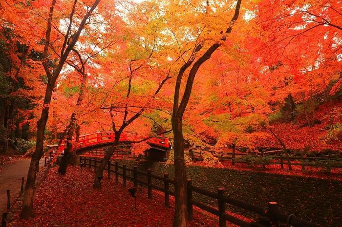 【京都】北野天満宮の見どころガイド～七不思議や周辺スポット紹介も～