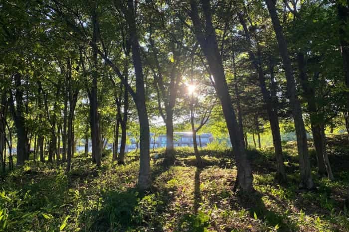 【四季と宿をめぐる旅】北海道〜フラノ寶亭留とラベンダー〜