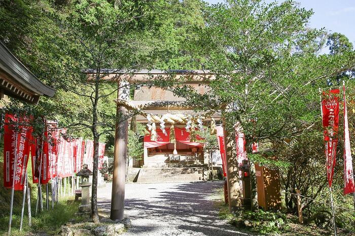 【奈良】神秘的な世界。熊野三山の奥宮、玉置神社を訪れてみた-thumb-700x466-291163.jpg