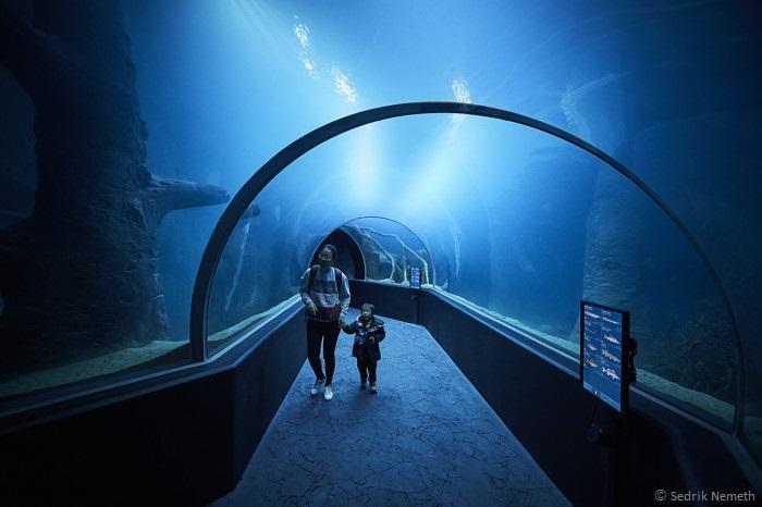 ヨーロッパ最大の淡水魚水族館「アクアティス(Aquatis)」が、スイス・ローザンヌにオープン!