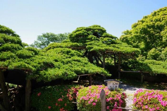 真夏に行きたい！京都市内の避暑地「夏らしい風情のある神社仏閣5選」