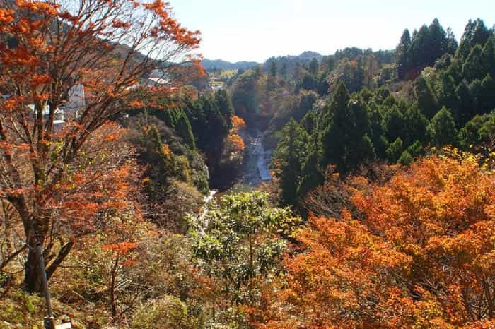 千葉房総の奥座敷！養老渓谷で渓谷ハイキング＆温泉グルメ三昧