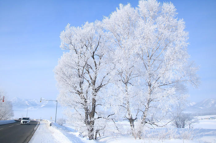 【四季と宿をめぐる旅】北海道〜緑の風リゾートきたゆざわと雪見温泉〜