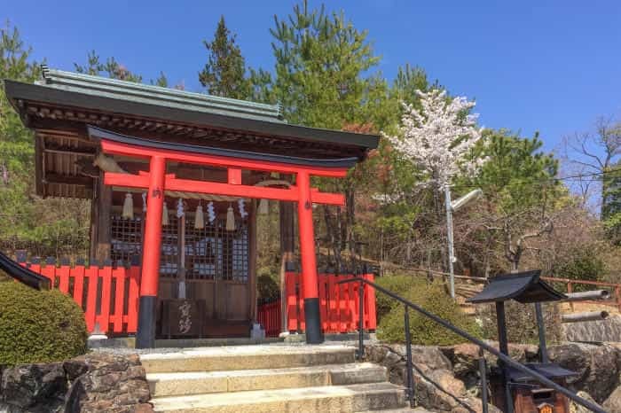 まるで桃源郷！京都の知る人ぞ知る桜の名所「原谷苑」