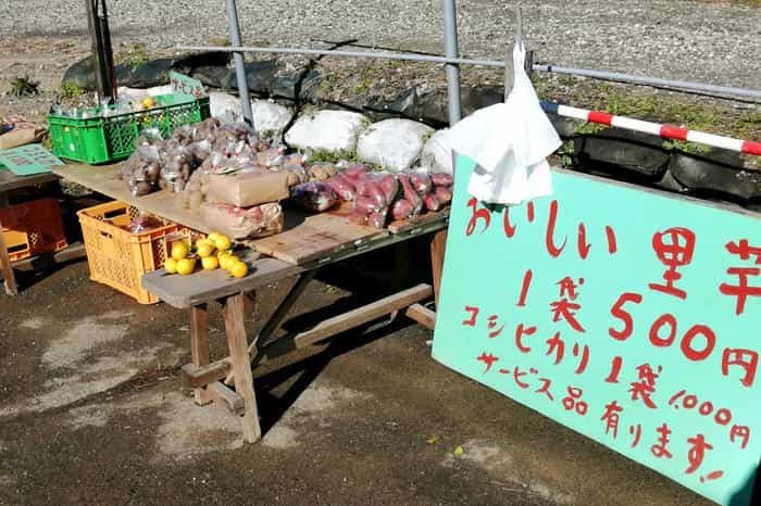 千葉房総の奥座敷！養老渓谷で渓谷ハイキング＆温泉グルメ三昧