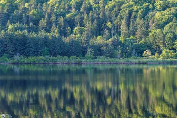 【北海道】果ての島・利尻島って何があるの？おすすめスポットをご紹介！