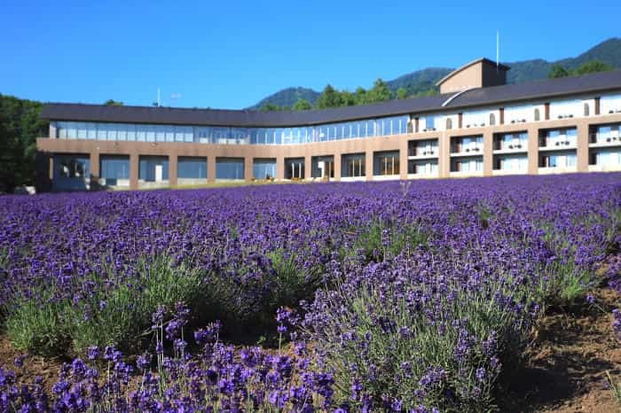 【四季と宿をめぐる旅】北海道〜フラノ寶亭留とラベンダー〜