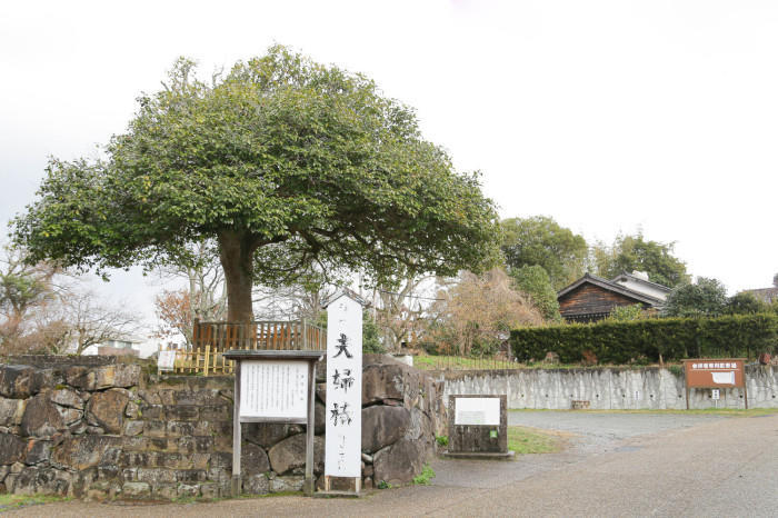 恋の行方が明らかに？縁結びの聖地、島根県 八重垣神社を訪れてみた