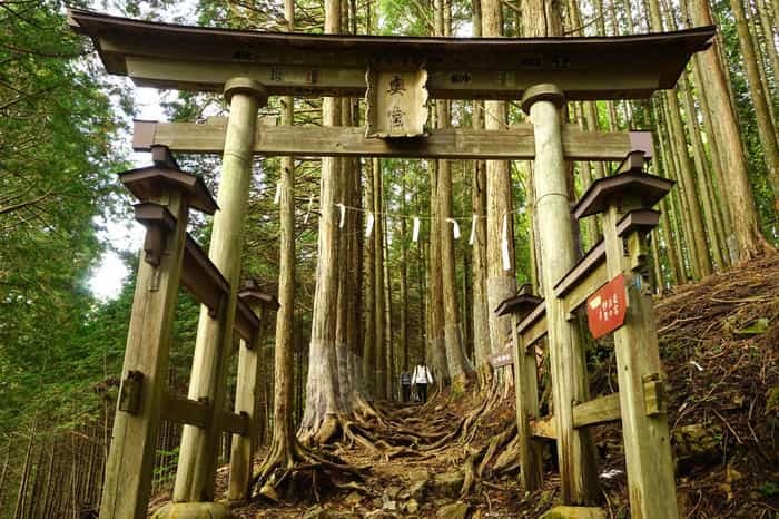 【埼玉／奥秩父】関東屈指のパワースポット！三峯神社の見どころ・お守り・御朱印をご紹介