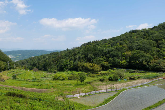 奈良県南生駒、西畑の棚田へお出かけしよう！