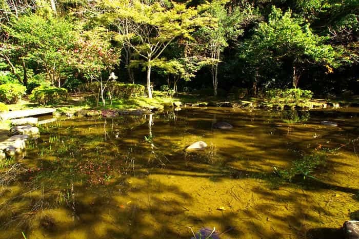 【茨城】鹿島神宮は東国最強のパワースポット！歴史・見どころ・ご利益・御朱印を徹底取材