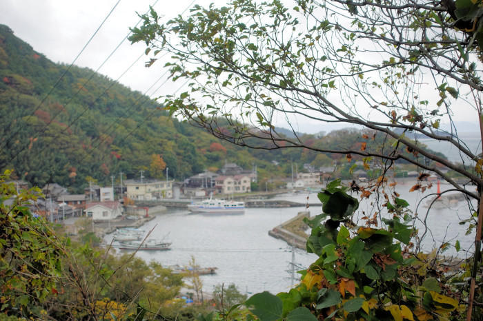 穴場の瀬戸内観光地！光・室積の沖合にある猫の島「牛島（うしま）」と水軍のふるさと上関を探訪