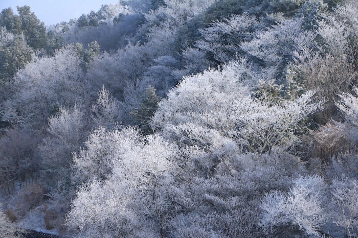 私のマイクロツーリズム宿泊編〜蒲郡温泉郷「天の丸」で夜景・雪見風呂・ご馳走三昧〜