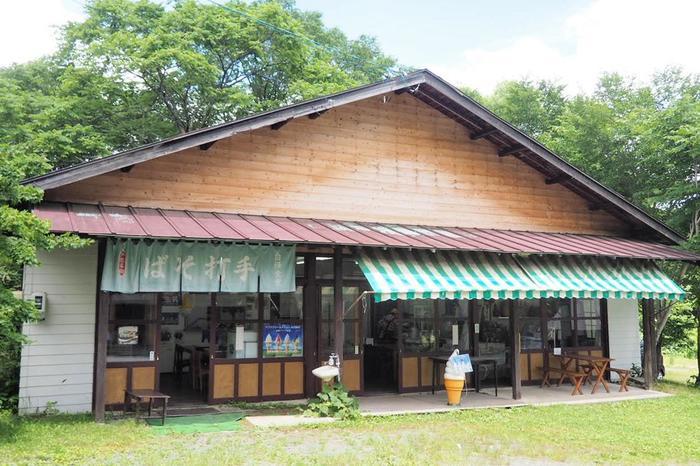 戸隠キャンプ場の魅力を徹底レポート！ 近場で温泉や登山も楽しめます！