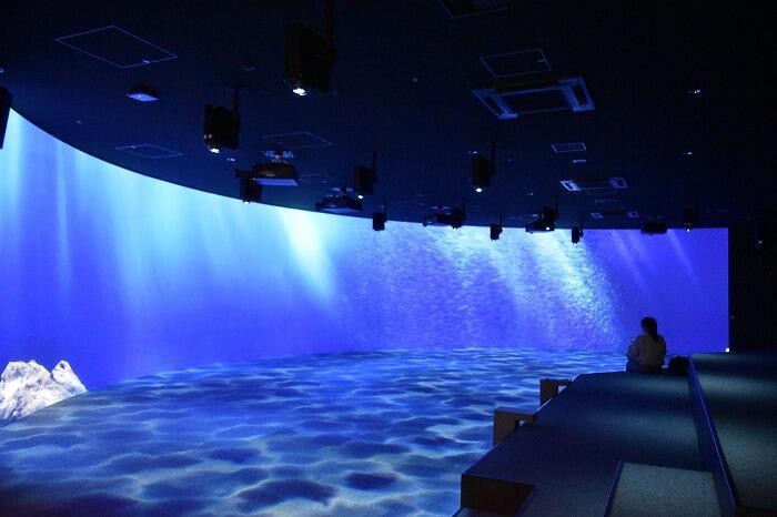 【北海道】ココロ満たされるマチナカのオアシス 都市型水族館「AOAO SAPPORO」