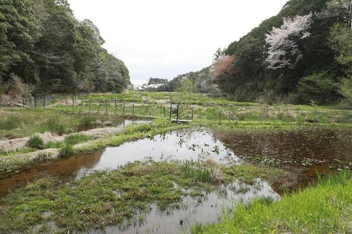 【高知県】四万十、足摺で目からウロコのSDGsを知った、そして考えた