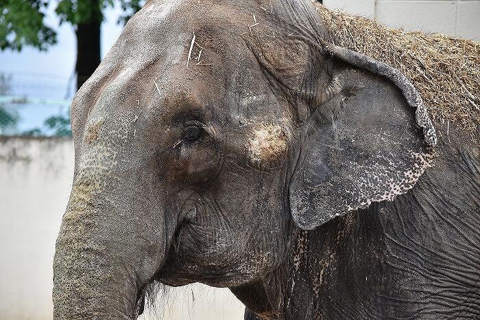ワンコインでおつりがくるコスパ最高の動物園　「おびひろ動物園」