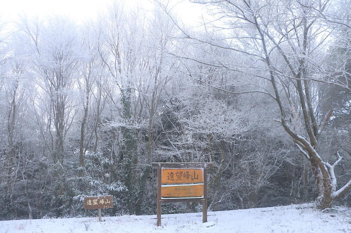 私のマイクロツーリズム宿泊編〜蒲郡温泉郷「天の丸」で夜景・雪見風呂・ご馳走三昧〜