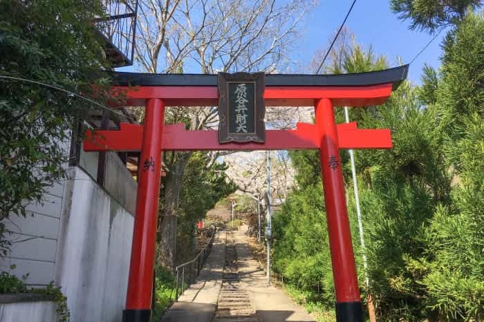 まるで桃源郷！京都の知る人ぞ知る桜の名所「原谷苑」