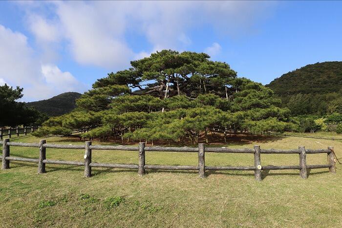 手つかずの自然と絶景の海が魅力！伊平屋島と伊是名島を2泊で全部周る